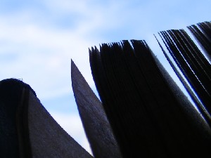 biblioteca 094 copy.jpg